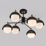 Потолочная люстра 70106/6