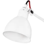 Бра Lightstar Loft 765616 Цвет арматуры белый от ImperiumLoft