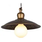 Подвесной светильник Favourite Magrib 1214-1P 