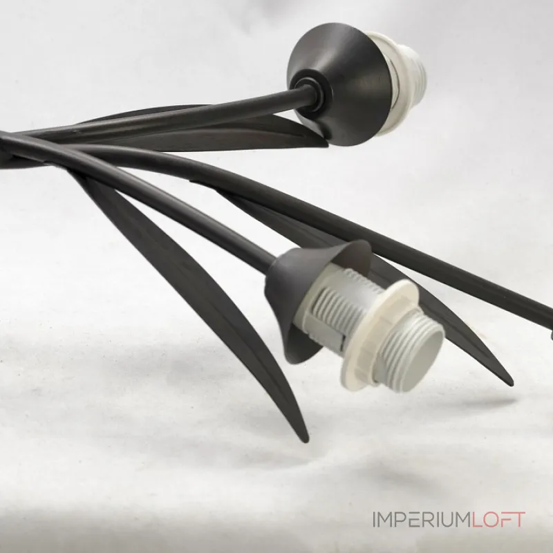 Потолочная люстра Lussole Bagheria LSF-6283-06 