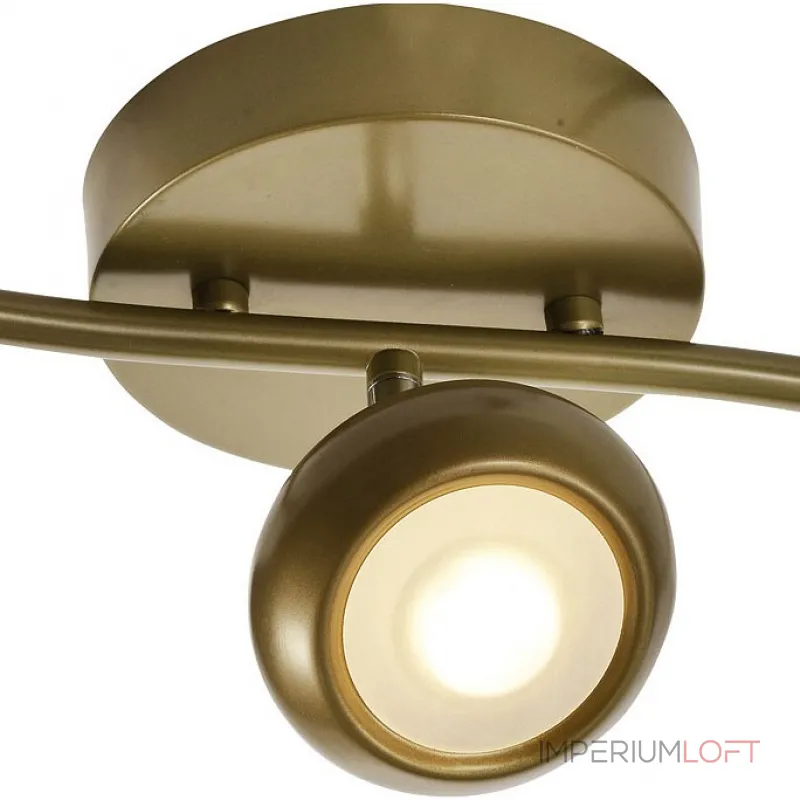 Спот TopLight Carissa TL1244Y-03SG Цвет арматуры золото Цвет плафонов золото от ImperiumLoft