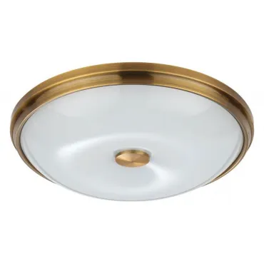 Накладной светильник Odeon Light Pelow 4956/4 Накладной светильник Odeon Light Pelow 4956/4
