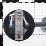 Спот Citilux Ринг CL525520 Цвет арматуры белый от ImperiumLoft