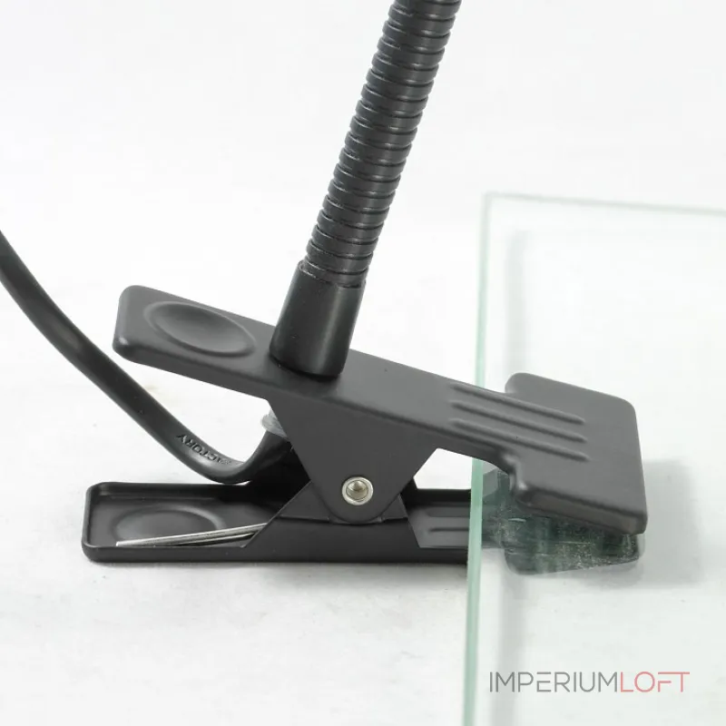 Настольная лампа офисная Lussole Roma LST-4214-01 Цвет арматуры черный Цвет плафонов черный от ImperiumLoft