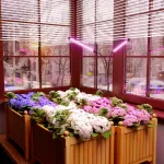 Светильник для растений Elektrostandard FT-005 a052890 Цвет арматуры черный Цвет плафонов черный от ImperiumLoft