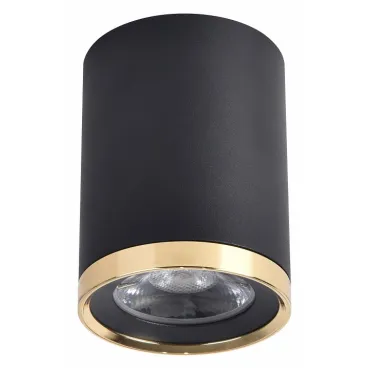 Накладной светильник Favourite Prakash 3086-1C