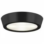 Накладной светильник Lightstar Urbano mini 214774 Цвет арматуры черный от ImperiumLoft