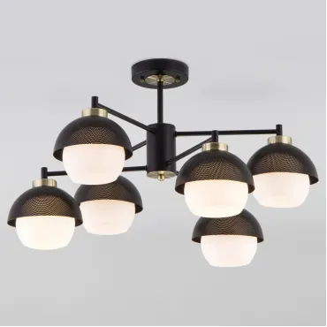 Потолочная люстра 70106/6