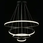 Подвесная люстра Aployt Janina APL.018.03.100