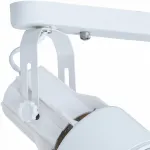 Потолочный светильник Arte Lamp 6252 A6252PL-2WH 