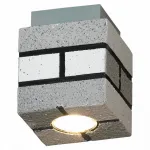 Накладной светильник Lussole Loft GRLSP-9686 от ImperiumLoft