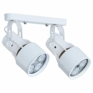 Потолочный светильник Arte Lamp 6252 A6252PL-2WH 