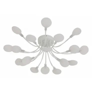 Потолочная люстра F-promo Skein 4198-20C