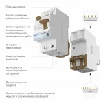Устройство защитного отключения 1P Werkel W812P404 от ImperiumLoft