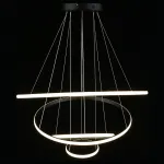 Подвесная люстра Aployt Janina APL.018.03.100