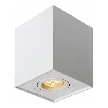 Накладной светильник Lucide Tube 22953/01/31