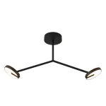 Люстра на штанге Favourite Paritet 4401-2C