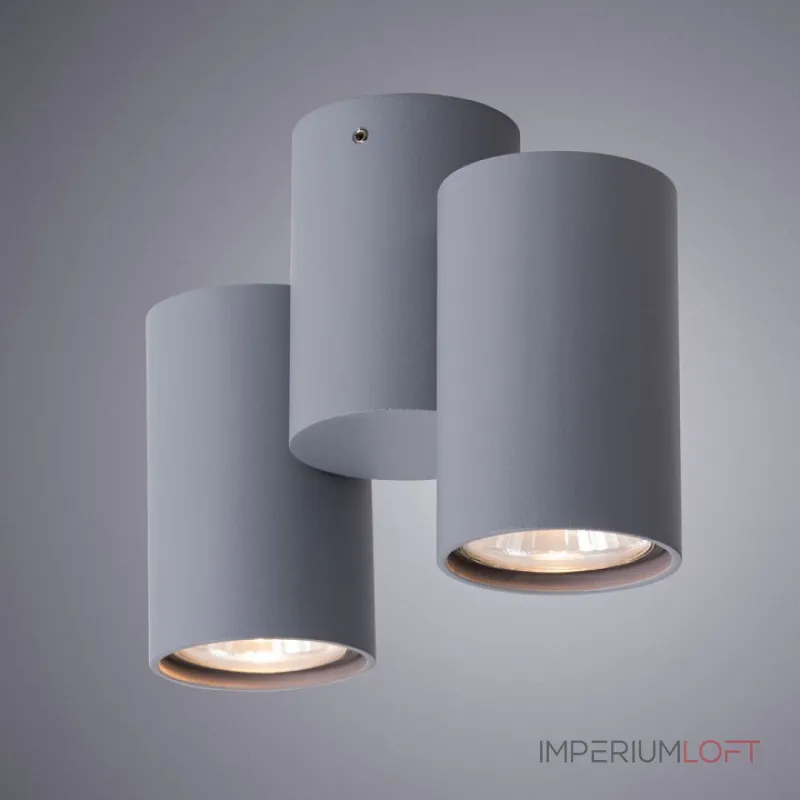 Спот Arte Lamp Gavroche A1511PL-2GY от ImperiumLoft Спот Arte Lamp Gavroche A1511PL-2GY от ImperiumLoft