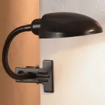 Настольная лампа офисная Lussole Roma LST-4214-01 Цвет арматуры черный Цвет плафонов черный от ImperiumLoft