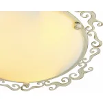 Потолочный светильник Arte Lamp Riccioli A1060PL-3WG