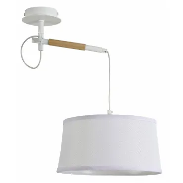 Подвесной светильник F-promo Eureka 3005-1P Подвесной светильник F-promo Eureka 3005-1P