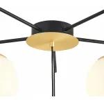 Потолочная люстра Favourite Paramount 3047-6P