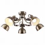 Потолочная люстра Arte Lamp Martin A5216PL-5AB 