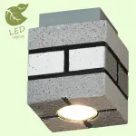 Накладной светильник Lussole Loft GRLSP-9686 от ImperiumLoft