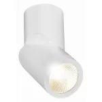 Светильник на штанге ST-Luce ST650 ST650.532.10 от ImperiumLoft