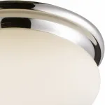 Потолочный светильник Arte Lamp Aqua A2916PL-2CC 