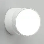 Спот Omnilux Lenno OML-101319-18 от ImperiumLoft