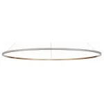 Подвесная люстра ST-Luce ST604 OUT ST604.243.57 