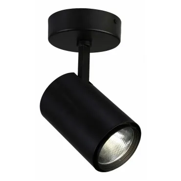 Светильник на штанге Favourite Projector 1772-1U