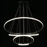 Подвесная люстра Aployt Janina APL.018.03.100