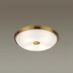 Накладной светильник Odeon Light Pelow 4956/4 от ImperiumLoft