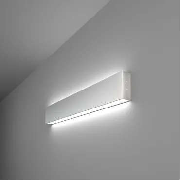 Накладной светильник Elektrostandard 101-100-40 a041476 Цвет арматуры серебро Цвет плафонов серебро Накладной светильник Elektrostandard 101-100-40 a041476 Цвет арматуры серебро Цвет плафонов серебро