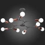 Люстра на штанге EVOLUCE Palare SLE106403-09 