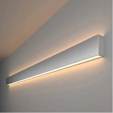 Накладной светильник Elektrostandard 101-100-40-128 a041471 Цвет арматуры серебро