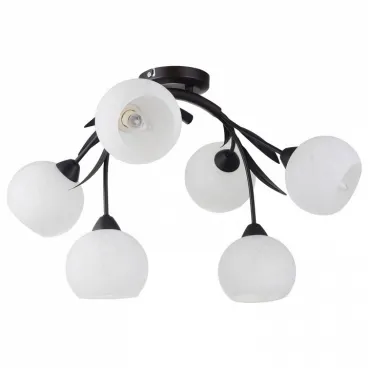 Потолочная люстра Lussole Bagheria LSF-6283-06 