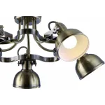 Потолочная люстра Arte Lamp Martin A5216PL-5AB 