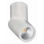 Светильник на штанге ST-Luce ST650 ST650.532.10 от ImperiumLoft