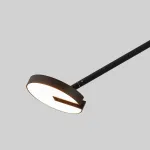 Люстра на штанге Favourite Paritet 4401-2C