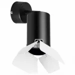 Спот Lightstar Rullo 5 RB437436 Цвет плафонов черно-белый от ImperiumLoft