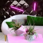 Светильник для растений Elektrostandard FT-005 a052890 Цвет арматуры черный Цвет плафонов черный от ImperiumLoft