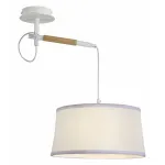 Подвесной светильник F-promo Eureka 3005-1P