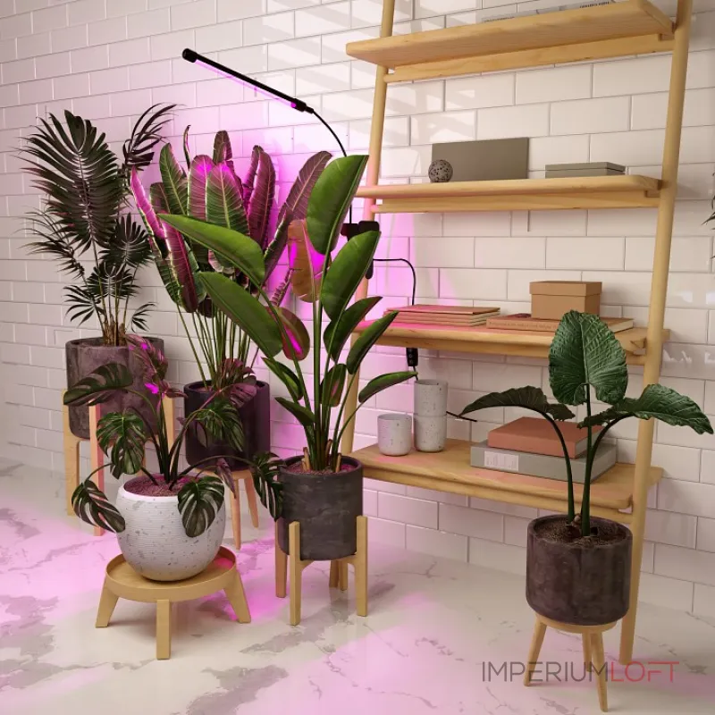 Светильник для растений Elektrostandard FT-004 a052889 Цвет арматуры черный Цвет плафонов черный от ImperiumLoft Светильник для растений Elektrostandard FT-004 a052889 Цвет арматуры черный Цвет плафонов черный от ImperiumLoft