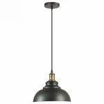 Подвесной светильник Lumion Dario 3675/1 