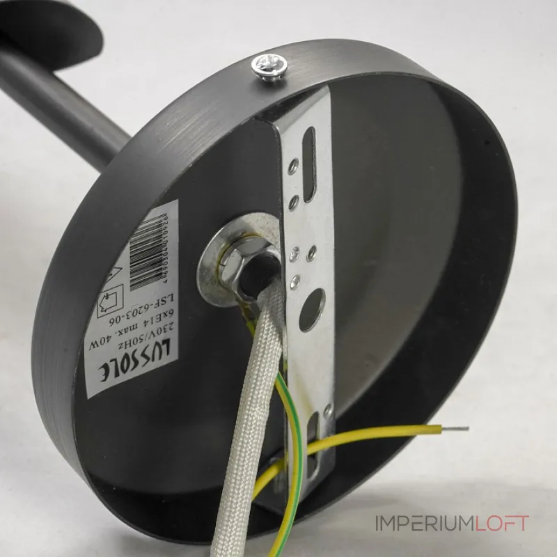 Подвесная люстра Lussole Bagheria LSF-6203-06 