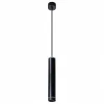 Подвесной светильник Arte Lamp Altais A6110SP-2BK 