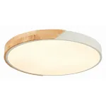 Потолочный светильник EVOLUCE Festa SLE200952-01 